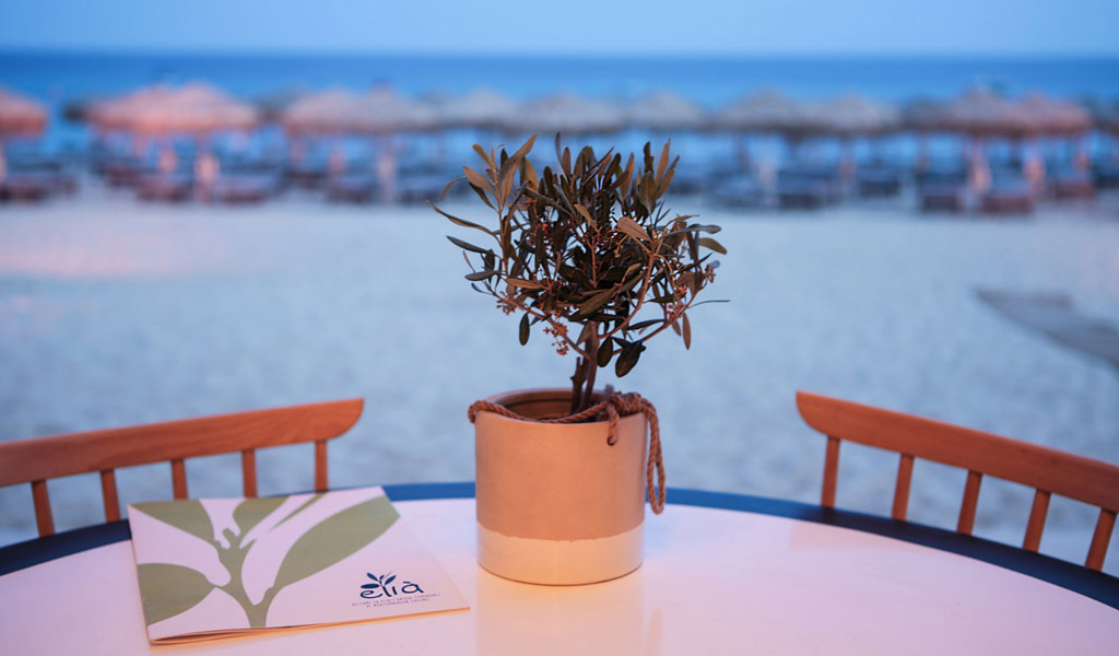 Elia Beach Restaurant Mykonos – Best Restaurants in Mykonos