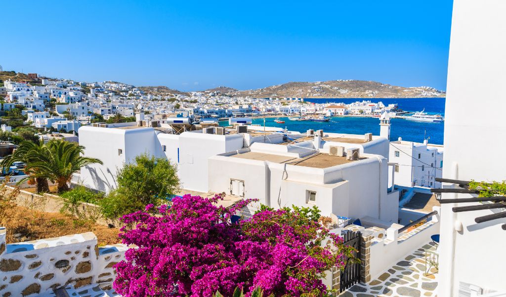 Bougainvillea on a Street of Wonderful Mykonos Town Greece